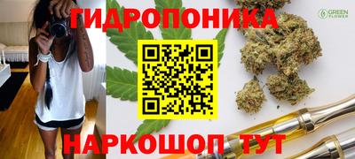 гидра Кунгур