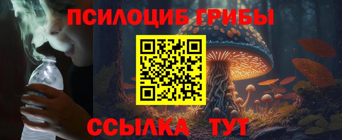 Галлюциногенные грибы Psilocybine cubensis Корсаков