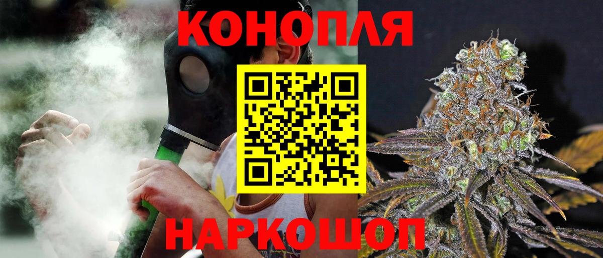 Каннабис конопля Корсаков